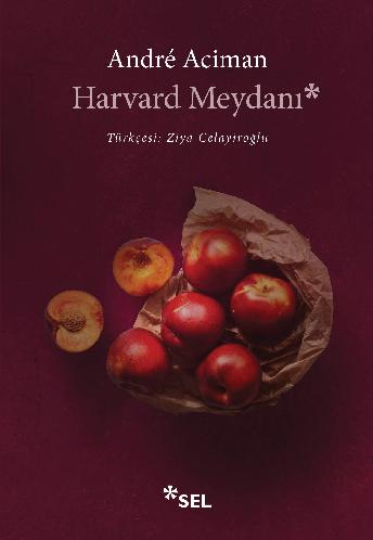 Harvard Meydan